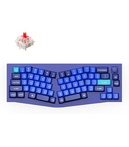 Amazon.com: Keychron Q8 Wired Custom Mechanical Keyboard, 65